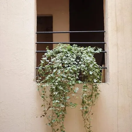 Chemin Du Muguet בורדו