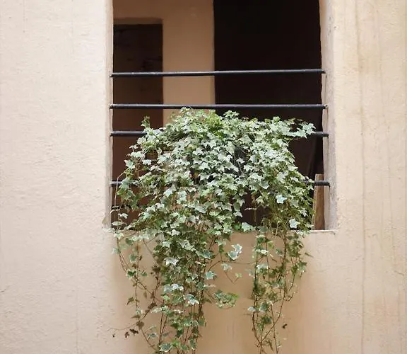Chemin Du Muguet Bordeaux
